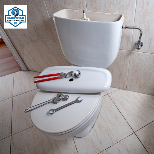 Toilet Flash Repair And Replace Service SG